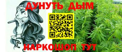 тгк Кингисепп
