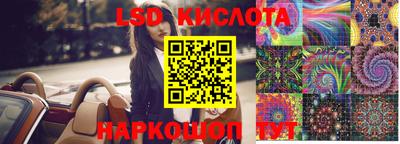 тгк Кингисепп