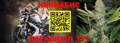 тгк Кингисепп