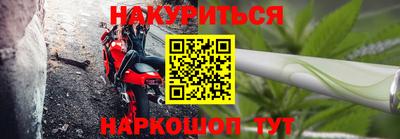 тгк Кингисепп