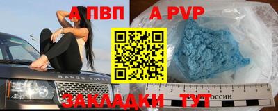тгк Кингисепп
