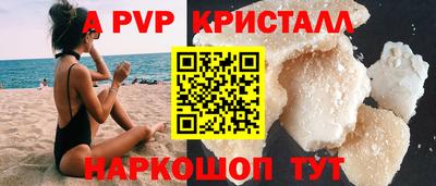 тгк Кингисепп