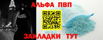 тгк Кингисепп