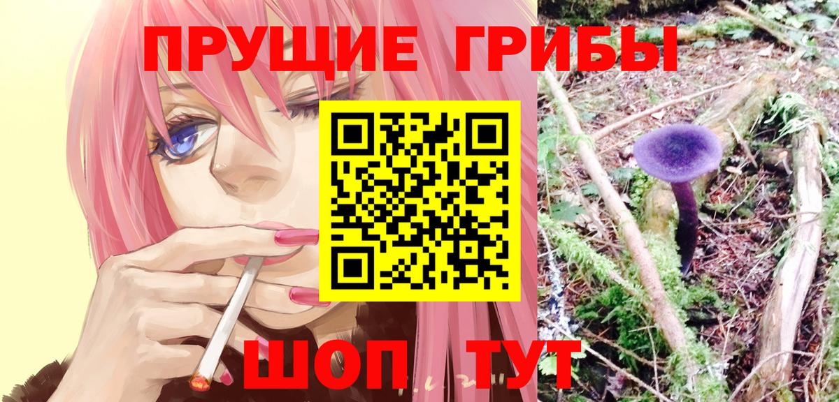 Галлюциногенные грибы ЛСД Шебекино