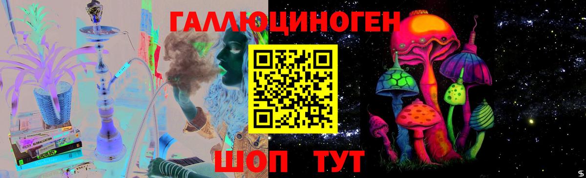 Галлюциногенные грибы Psilocybe  Вход с VPN  Шебекино  Галлюциногенные грибы прущие грибы 
